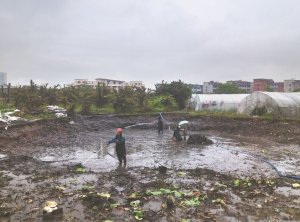 海安河道鱼塘清淤